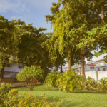 Espaço Bom Viver
